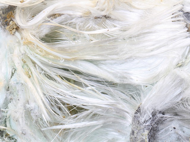 What is asbestos?