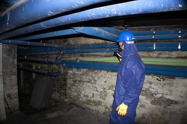 Asbestos operative inspecting asbestos pipes in the basement
