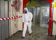 How much does asbestos removal cost?