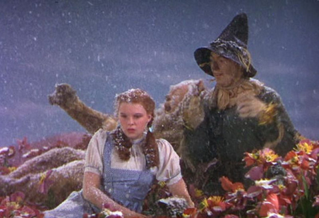 Wizard of oz asbestos